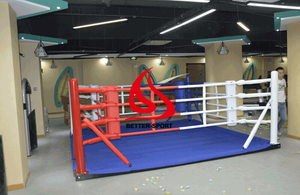 Grounded floor boxing ring