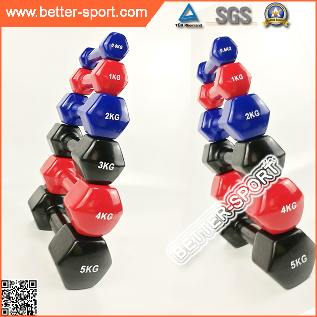 Vinyl Dumbbell